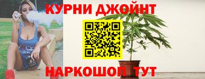 сатива Бузулук