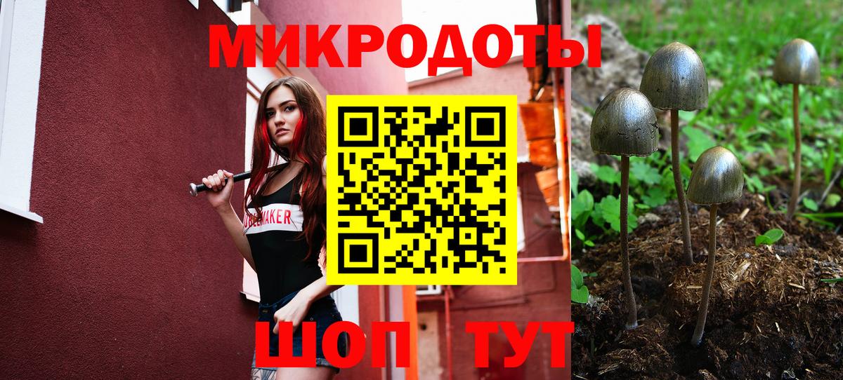 Псилоцибиновые грибы GOLDEN TEACHER Красноуфимск